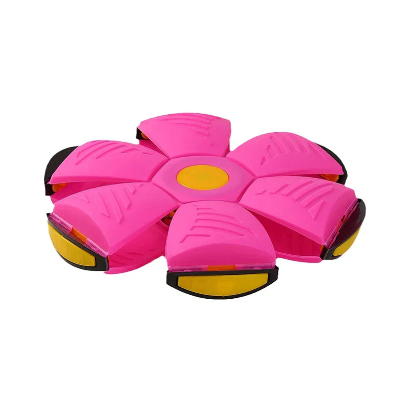 Pet Flying Saucer Ball