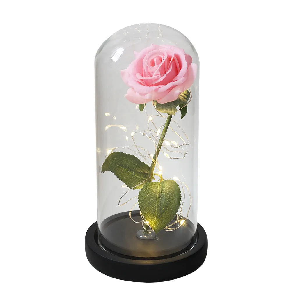 Galaxy Beauty and the Beast Rose